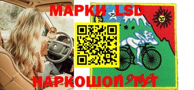 гидропоника Гатчина