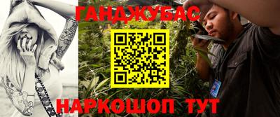 гидропоника Гатчина