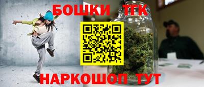 гидропоника Гатчина