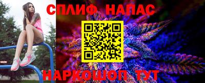 гидропоника Гатчина