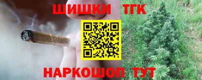 гидропоника Гатчина