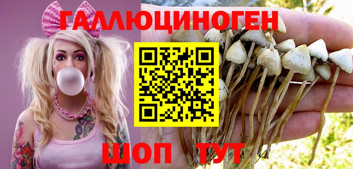 Мыски  Псилоцибиновые грибы мицелий  Вход с VPN  купить  цена  Псилоцибиновые грибы MAGIC MUSHROOMS 