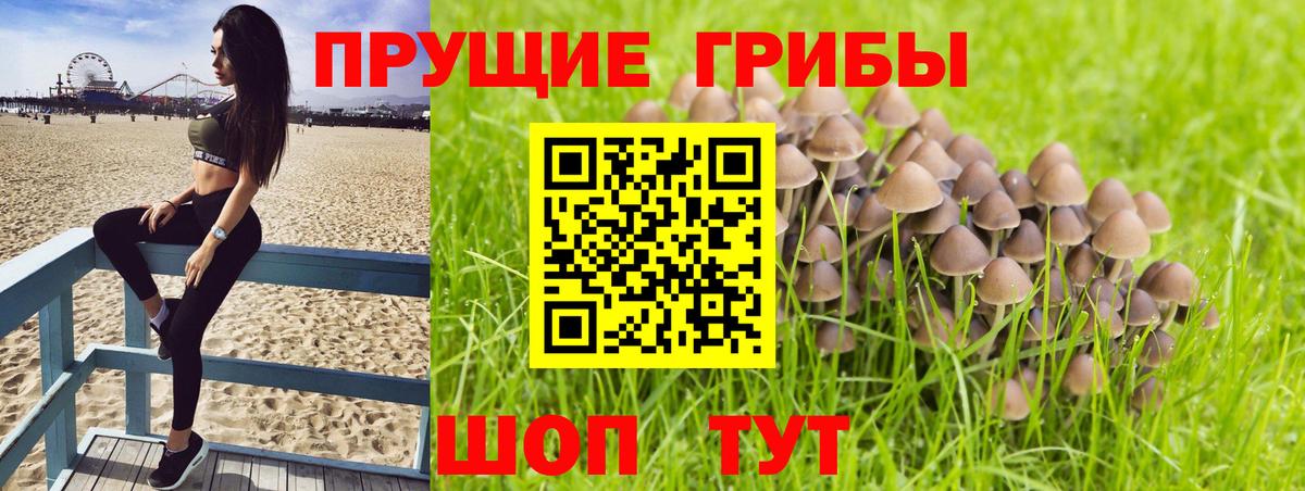 КОКАИН  A-PVP СК   Мефедрон кристаллы  ГАШ  Кетамин  Мыски  Вход с VPN 